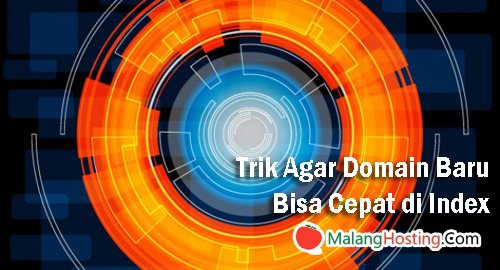 6 Trik Agar Domain Baru Bisa Cepat di Index